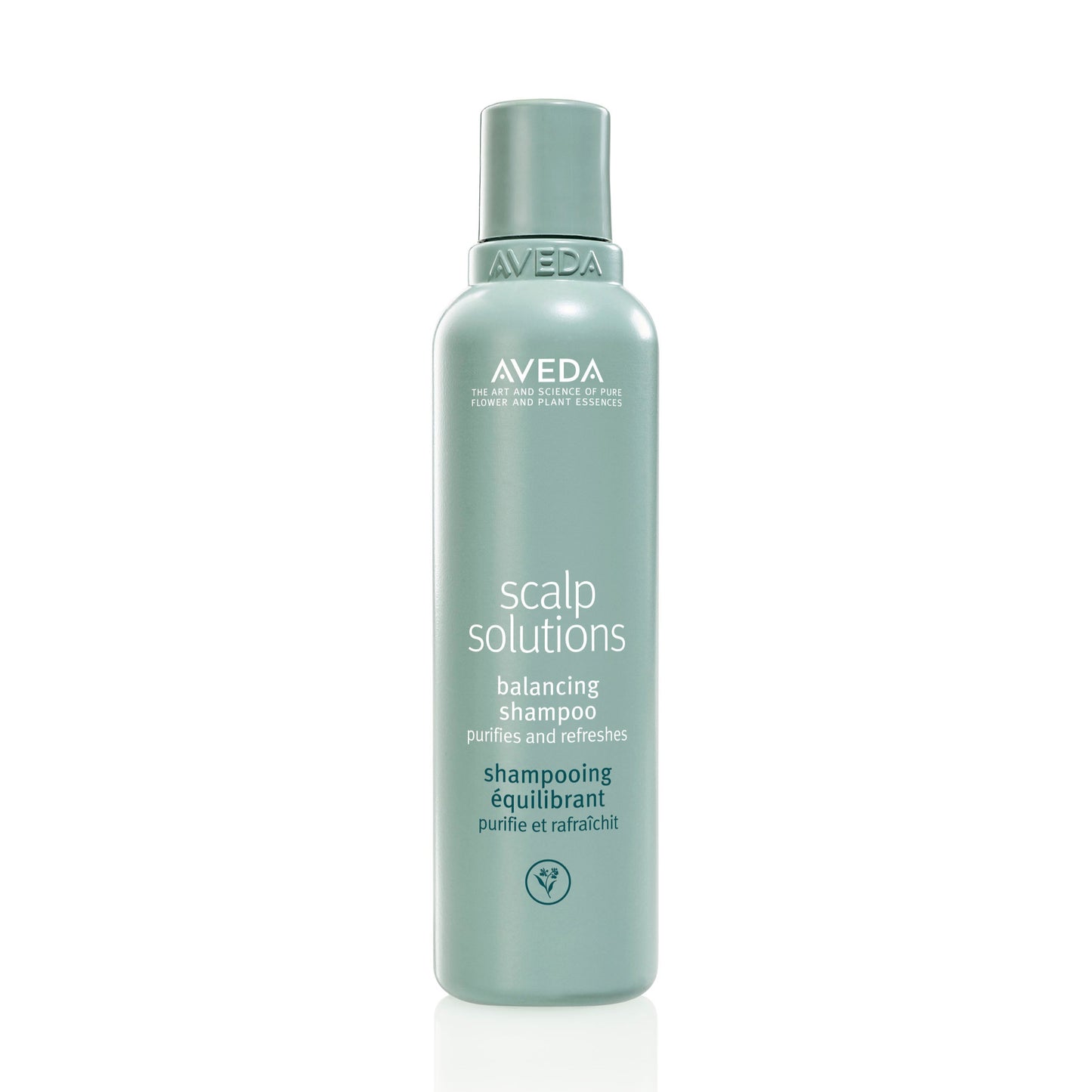 Scalp solutions champú equilibrante